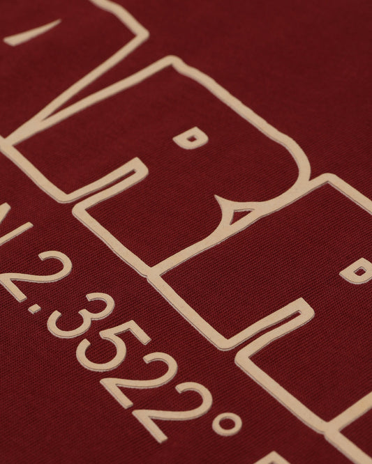 Carre Coordinates T-Shirt Maroon - image 2
