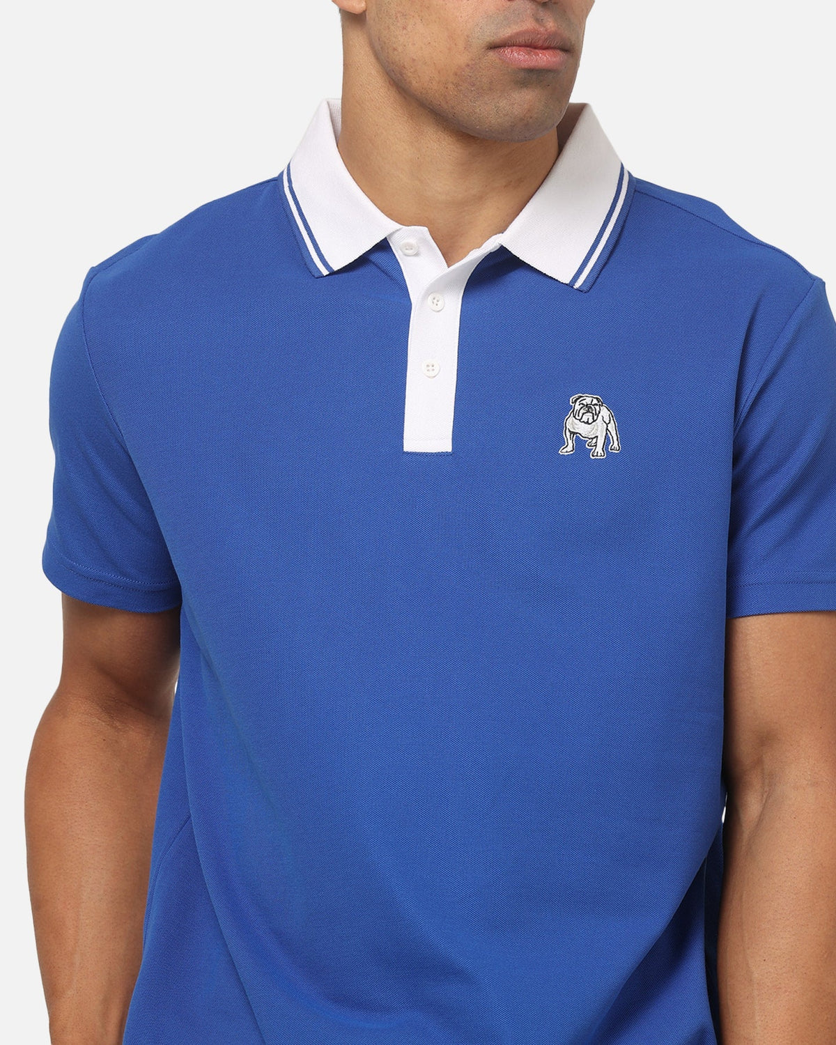 Bleacher Athletic Canterbury-Bankstown Bulldogs NRL Adult Golf Polo T-Shirt Blue