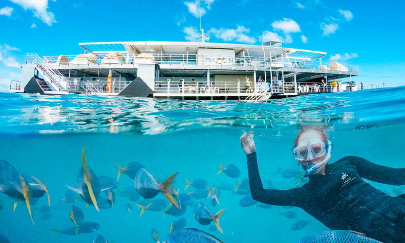 Whitsunday Reefsleep & Escape image 5