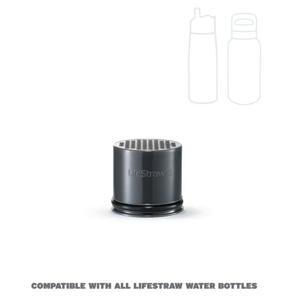 LifeStraw Go 2.0 Replacement Universal Activated Carbon Filter - 2 Pack
