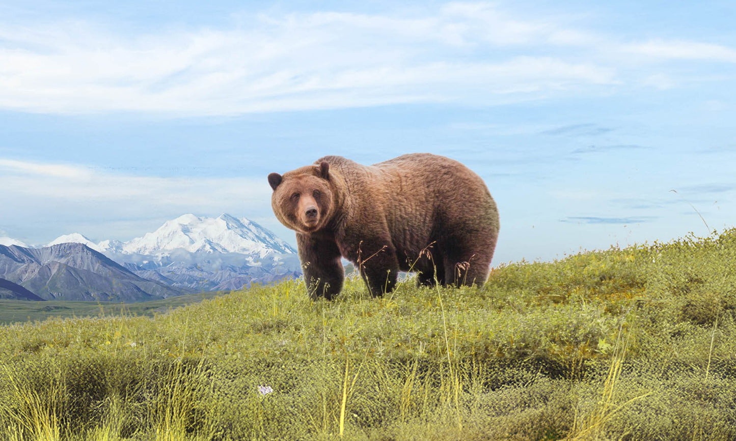 Canada Tours, Holiday Packages and Travel Deals 2026 & 2027 image 6
