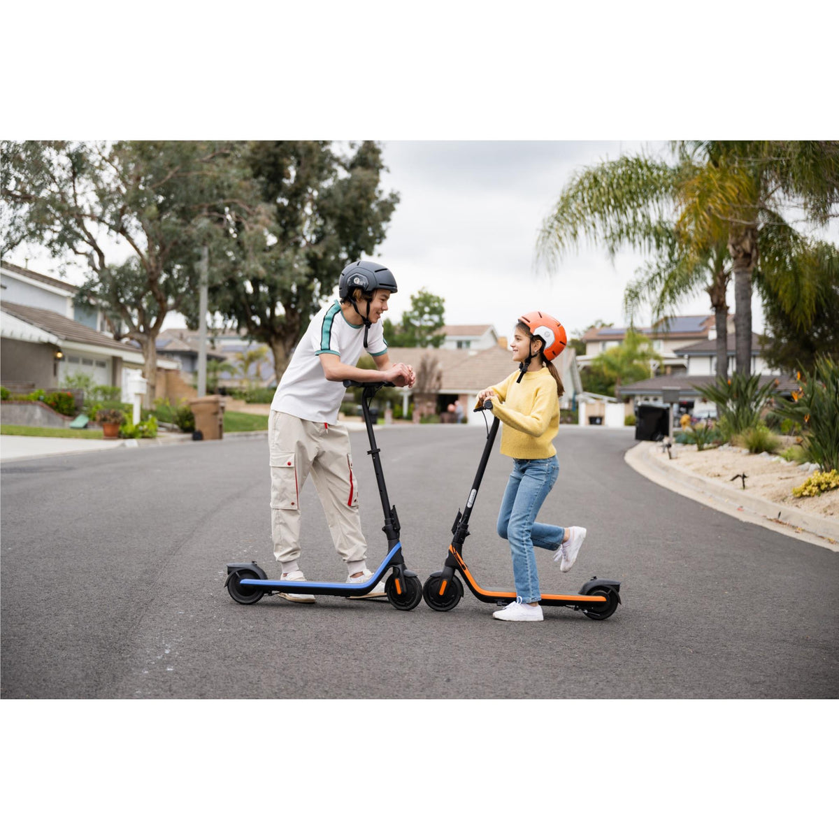 Segway KickScooter C2 Pro
