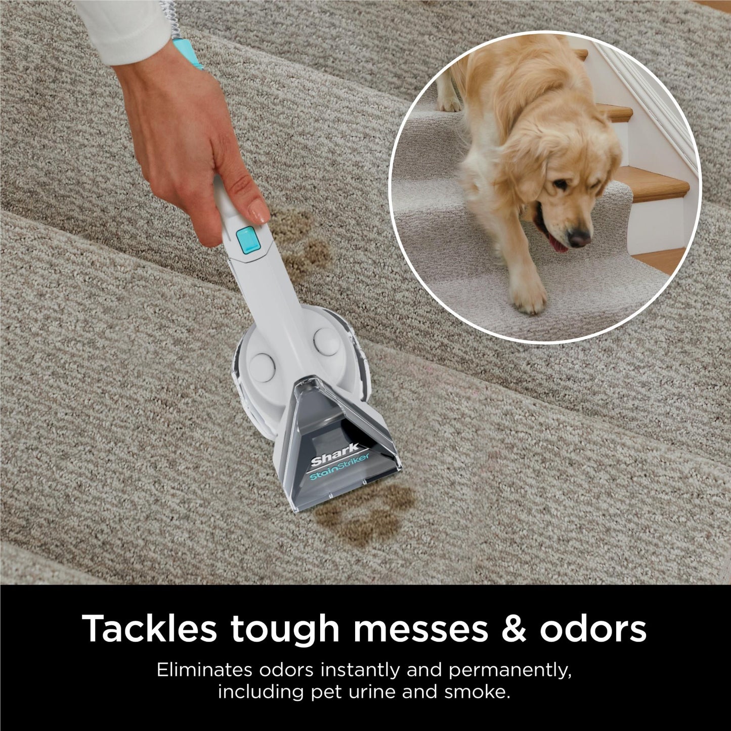 Shark CarpetXpert Deep Clean Pro Formula (1.4L)
