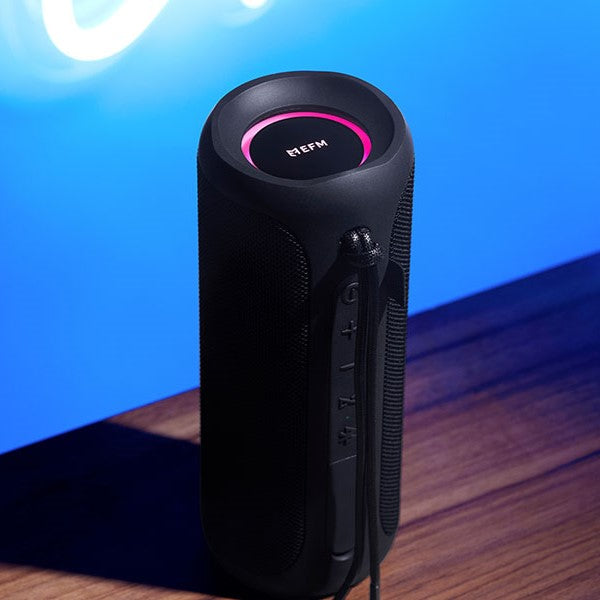 EFM Austin Pro 40W Bluetooth Speaker (Charcoal Black)