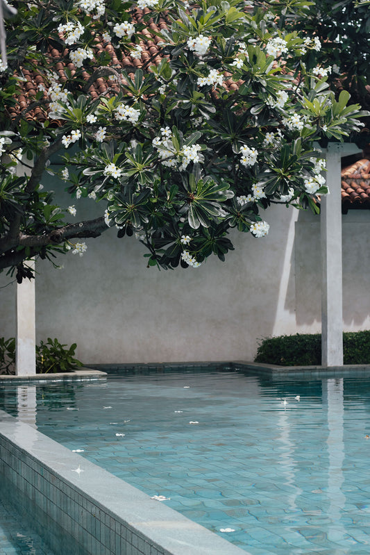 The Lamai Samui ocean-view infinity pool