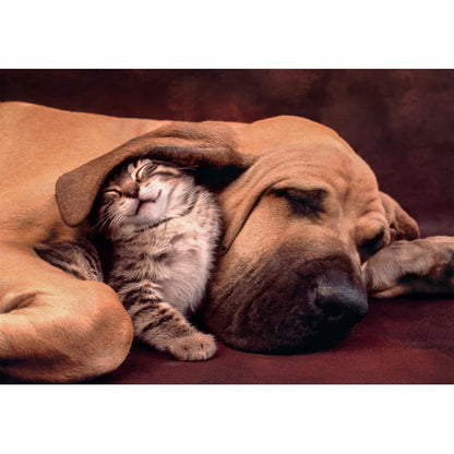 Clementoni 500-Pieces Cuddles Puzzle
