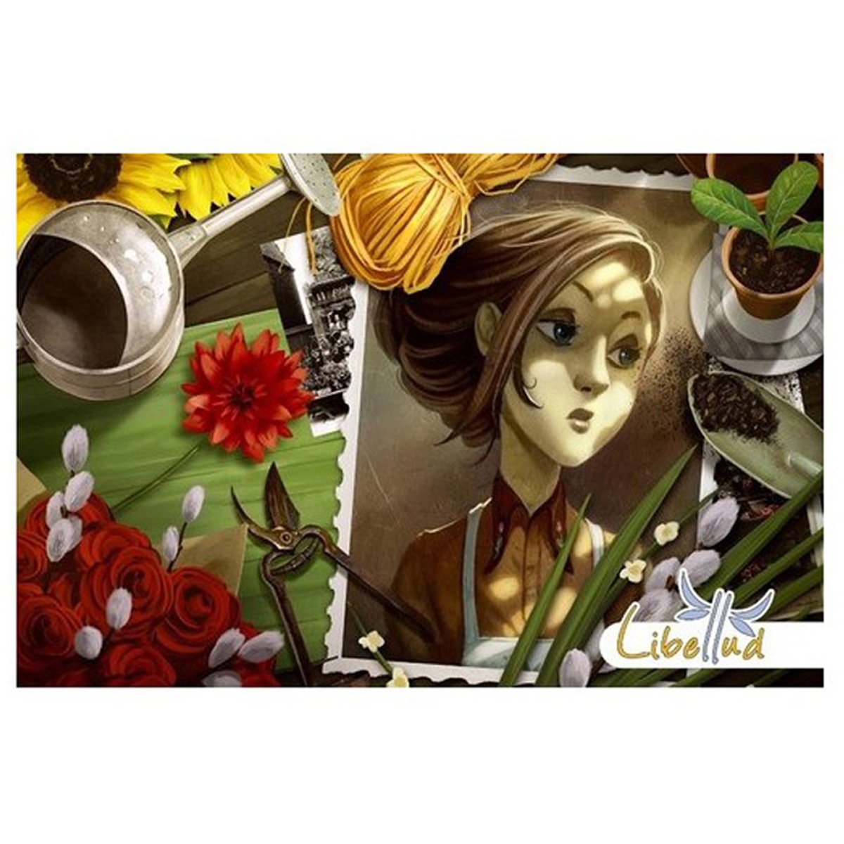 Asmodee Mysterium Secrets & Lies Expansion