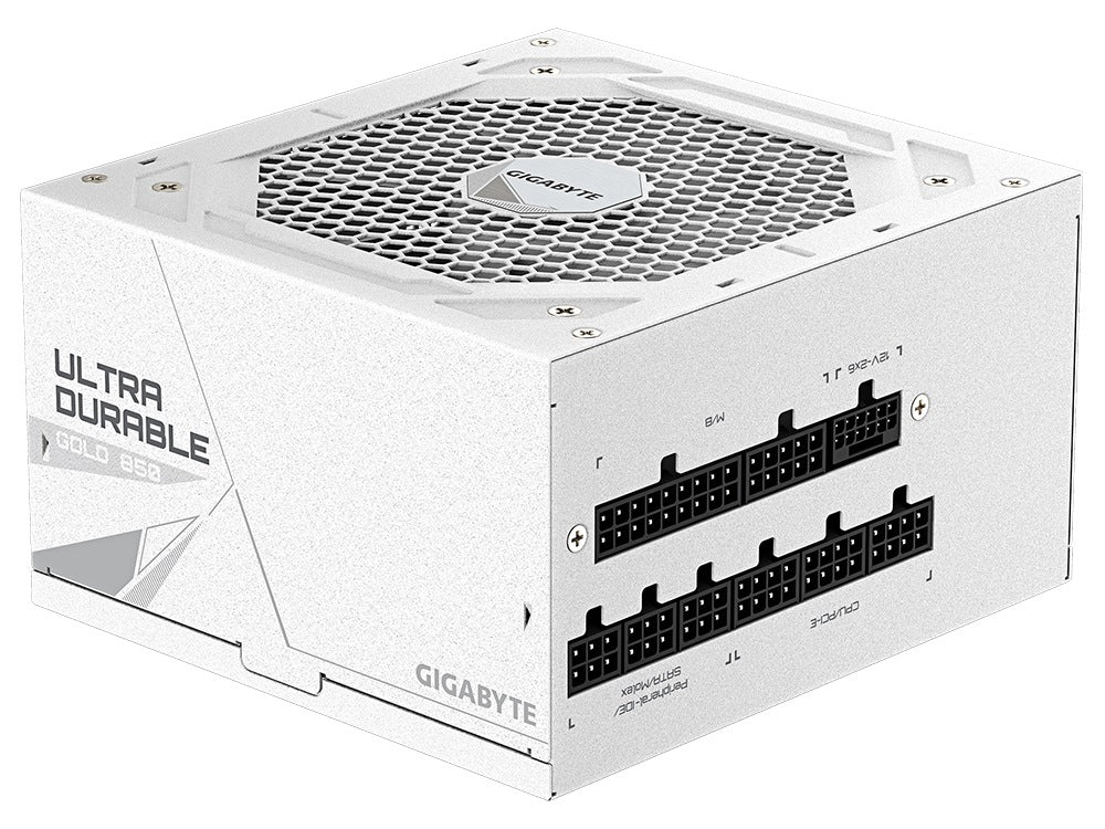 GIGABYTE UD850GM PG5 850W 80+ Gold Fully Modular ATX 3.0 Power Supply (Ice)