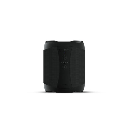 BlueAnt X3D Speaker (Slate Black)