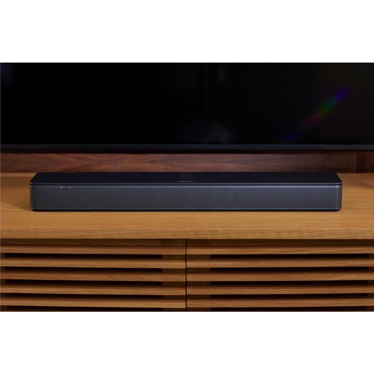 Bose TV Speaker