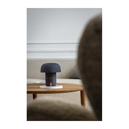 Kooduu Sensa Play Lamp/Bluetooth Speaker in Anthracite