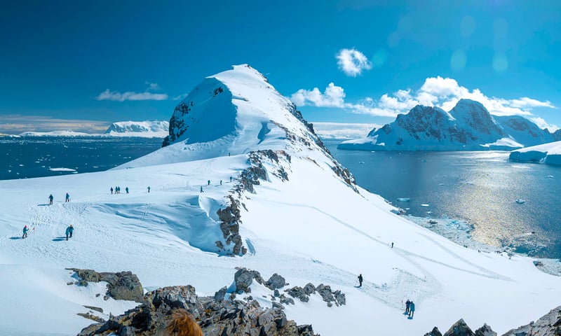 Swan Hellenic Luxury Antarctica image 5