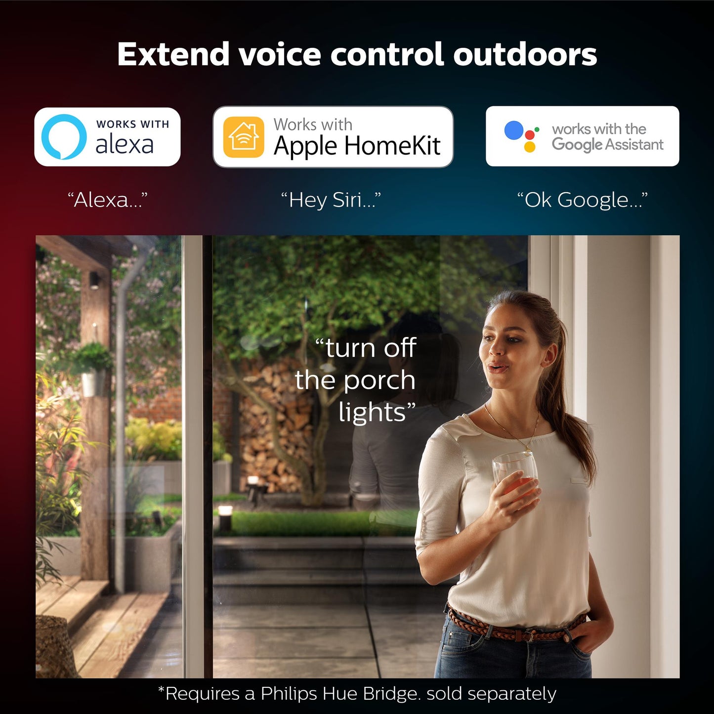 Philips Hue Outdoor Lily XL Spot Light Extension