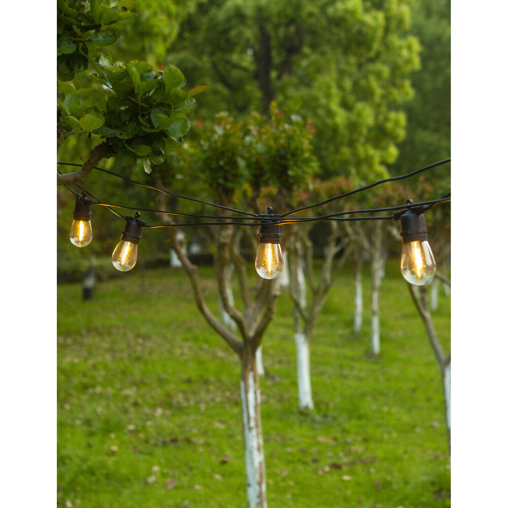 LumiFX 20 Bulb LED WIFI Smart Festoon Lights 20m Warm White