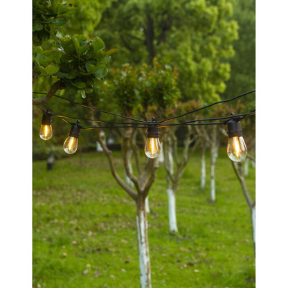 LumiFX 20 Bulb LED WIFI Smart Festoon Lights 20m Warm White