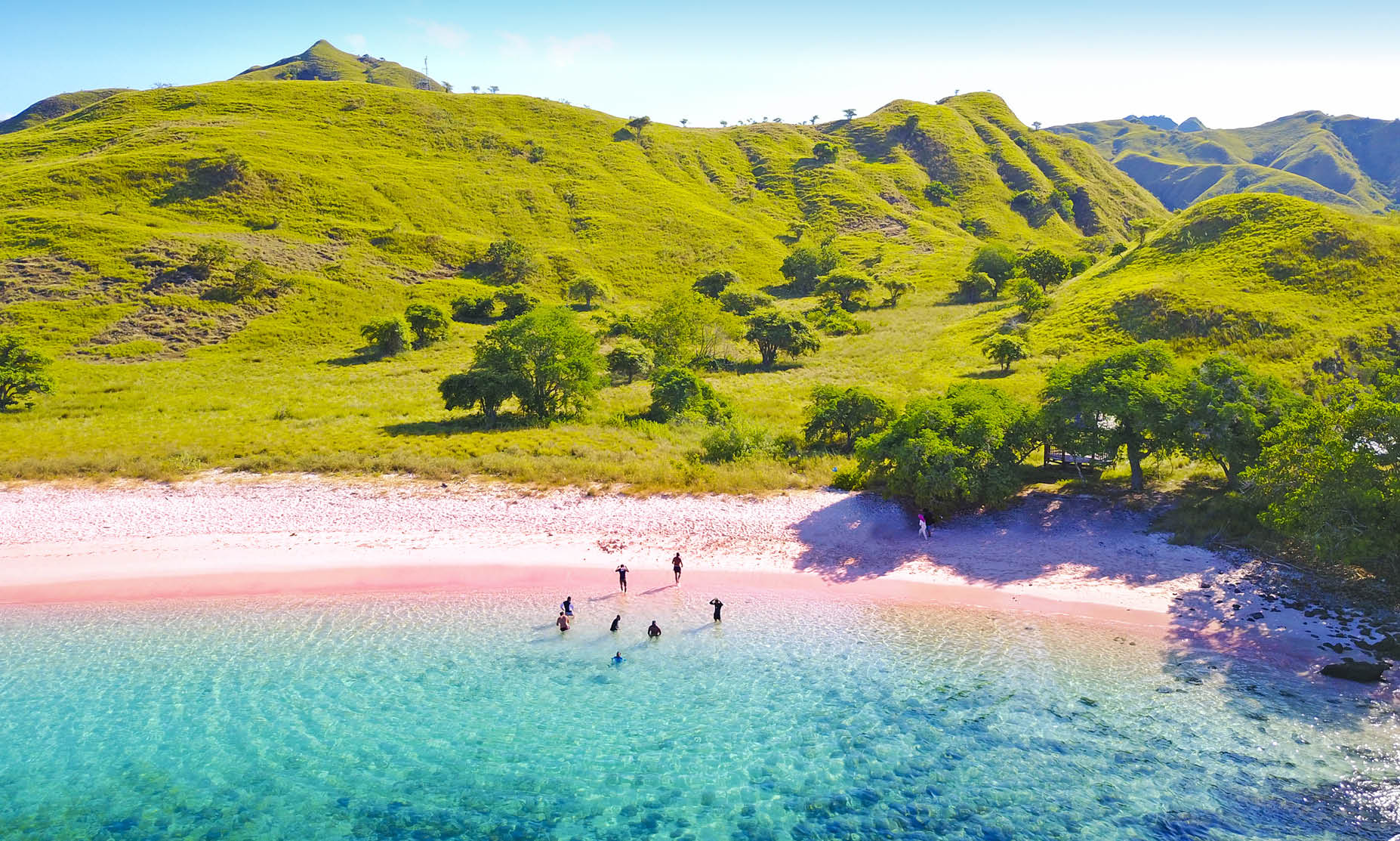 Pink Beach Komodo