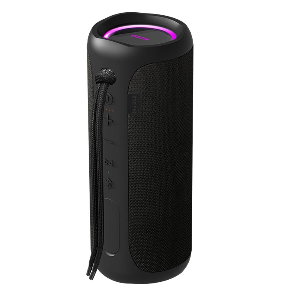 EFM Austin Pro 40W Bluetooth Speaker (Charcoal Black)