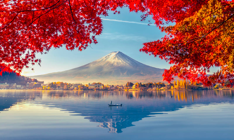 Highlights of Japan & South Korea image 3