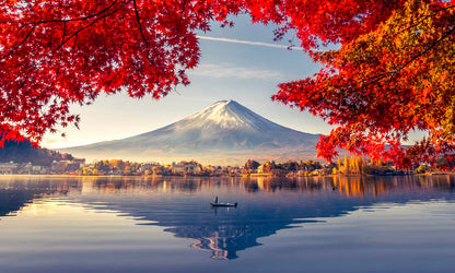 Ultimate Japan image 3