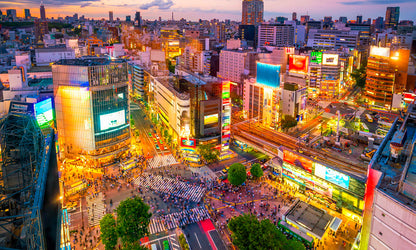 Ultimate Japan image 4