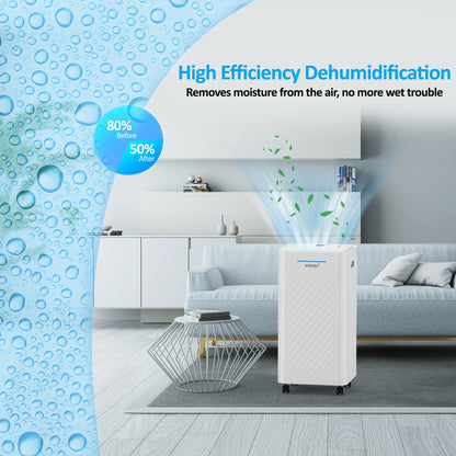 AROVEC 2-in-1 Smart Dehumidifier & Air Purifier – 10L/Day, 2.5L Tank, 30m² Coverage