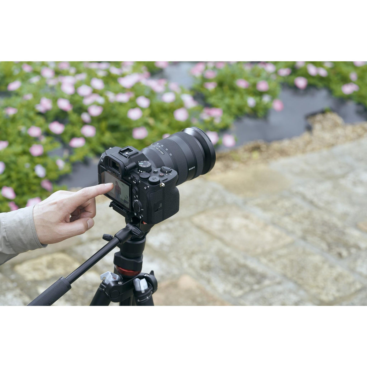 Sony Alpha A7 IV Full Frame Mirrorless Camera [4K Video] (Body Only)