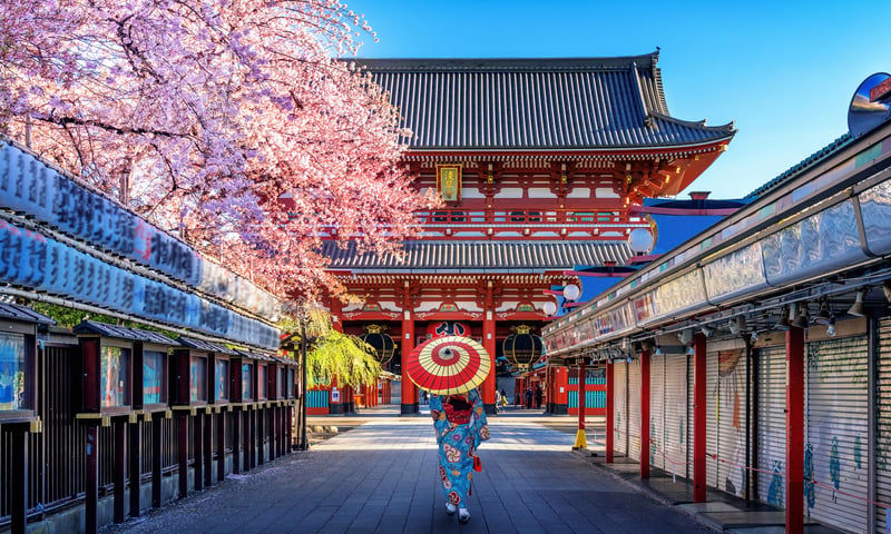 Unbeatable Japan image 5