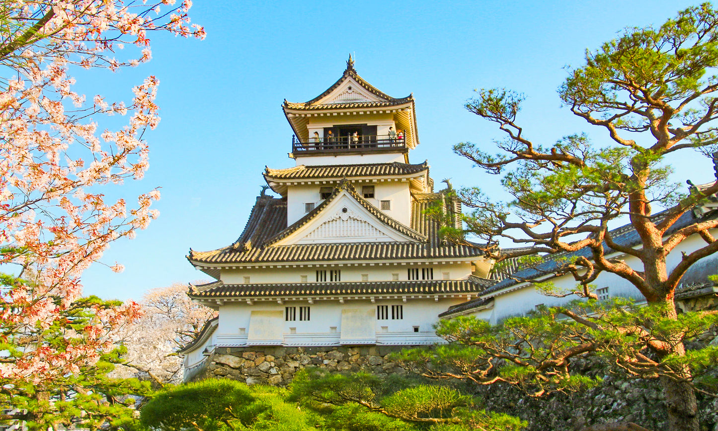 Southern Japan Discovery