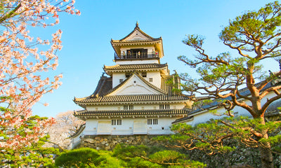 Southern Japan Discovery
