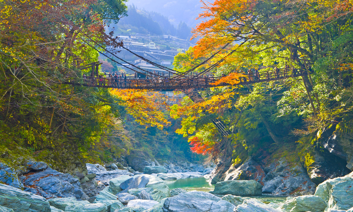 Iya Valley vine bridge