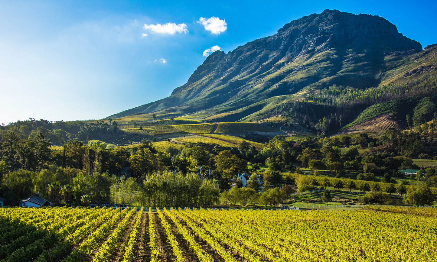 Stellenbosch Cape Winelands