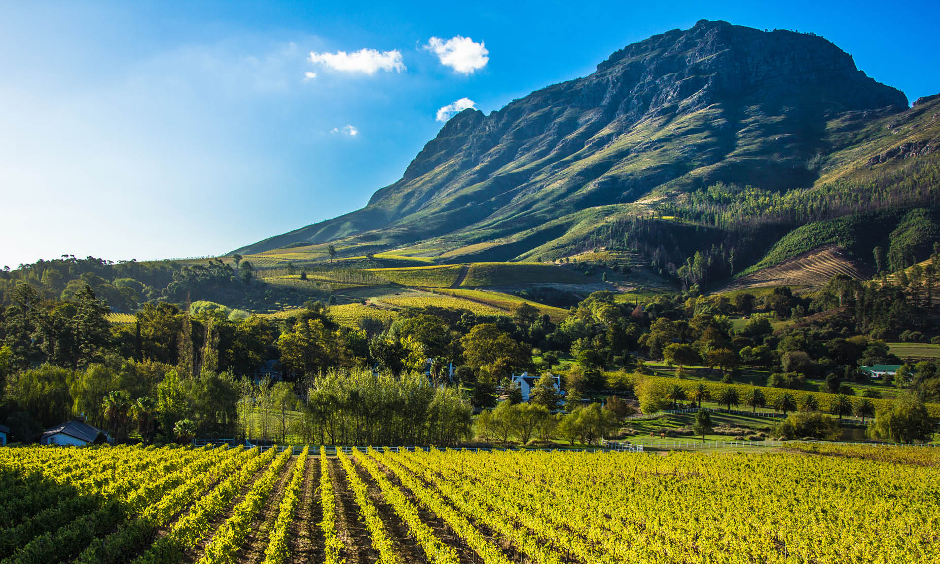Stellenbosch Cape Winelands