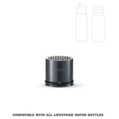 LifeStraw Go 2.0 Replacement Universal Activated Carbon Filter - 2 Pack