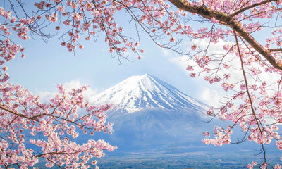 All-Inclusive Cherry Blossoms Cruise