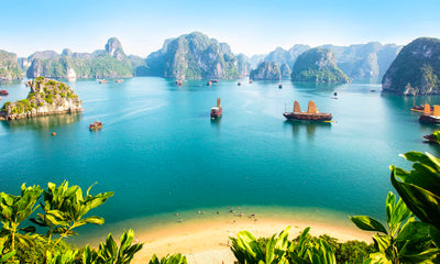 Highlights of Vietnam