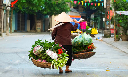 Highlights of Vietnam Hanoi
