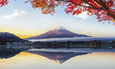 Japan Discovery