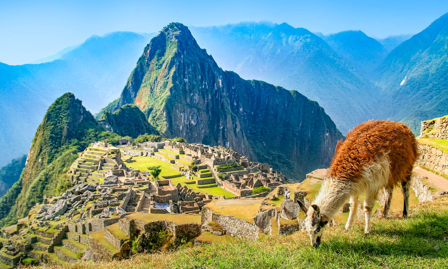 Machu Picchu