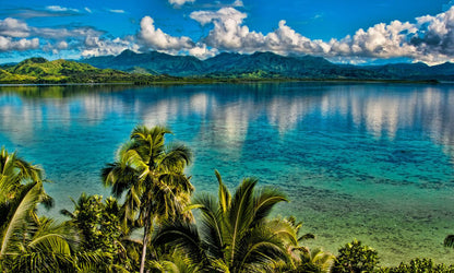 Fiji & South Pacific Cruise image 2