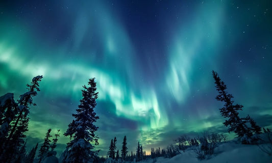 Northern Lights & Arctic Lapland