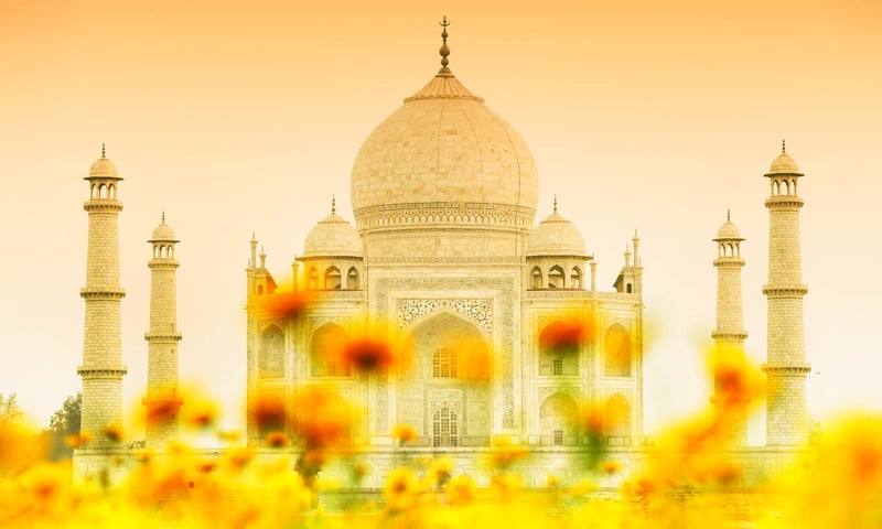 5-Star Highlights of India