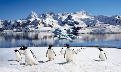 Luxury Antarctic Circle image 4
