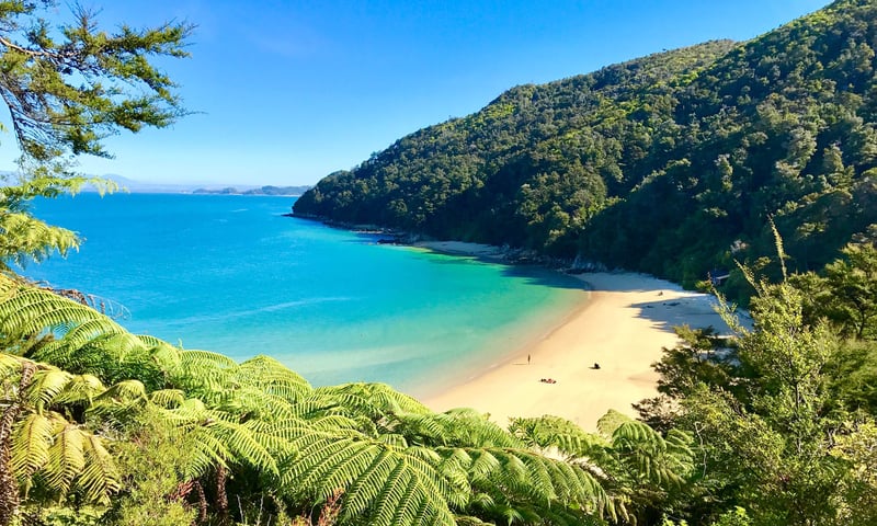 Pure New Zealand Adventure image 4