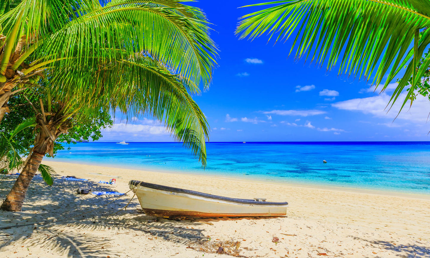 Fiji Beach