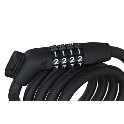 Segway Passcode Lock