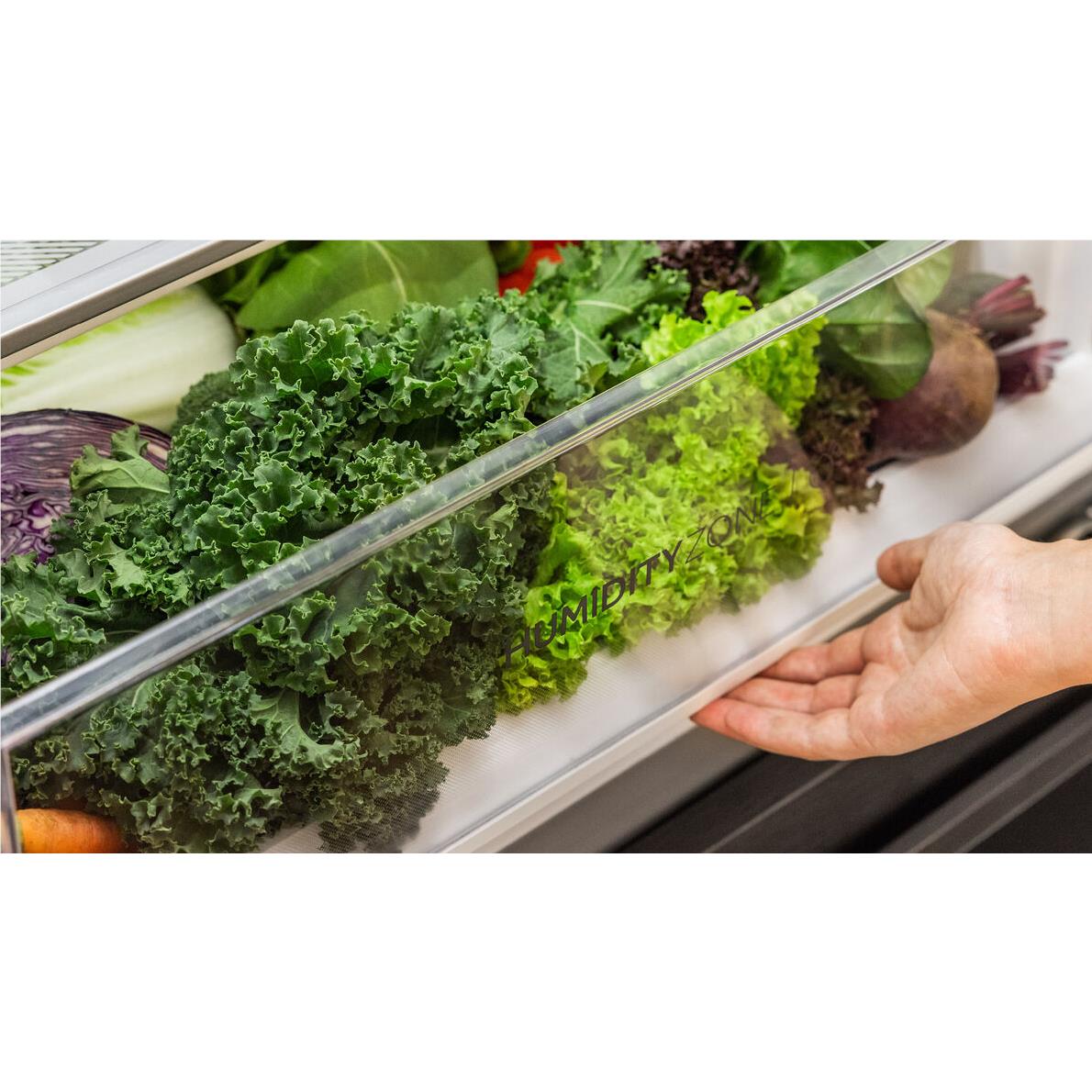 Haier HRF420BEC 433L Bottom Mount Fridge