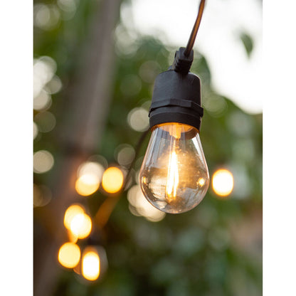 LumiFX 20 Bulb LED WIFI Smart Festoon Lights 20m Warm White