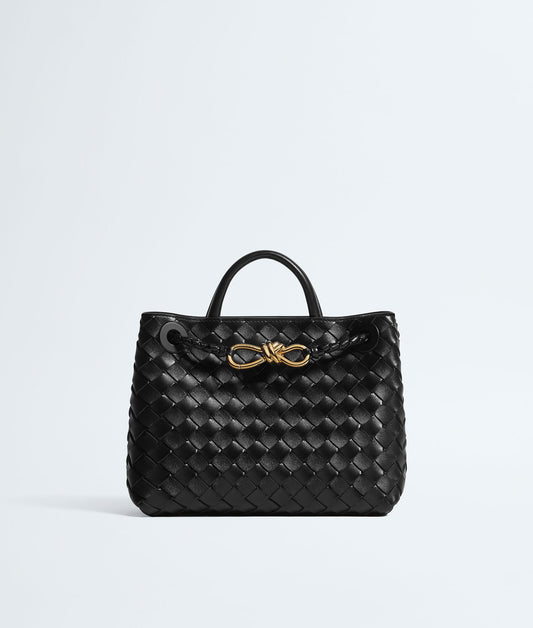 Bottega Veneta Small Andiamo in Black
