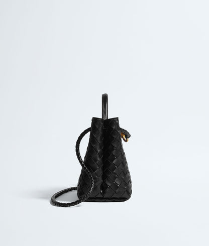 Bottega Veneta Small Andiamo in Black