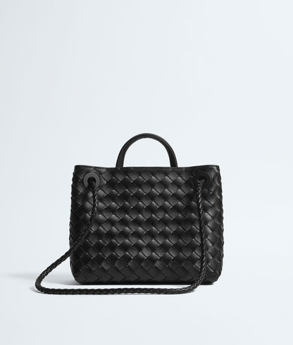 Bottega Veneta Small Andiamo in Black